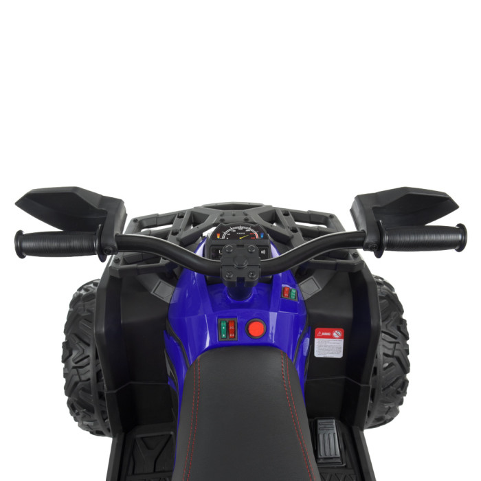 Детский Квадроцикл M 4795EBLR-4