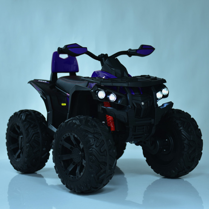 Детский Квадроцикл M 4795EBLR-4
