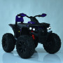 Детский Квадроцикл M 4795EBLR-4