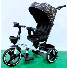 Велосипед 9155 / 319-22 BestTrike "Marco" (1) поворотне сидіння, складне кермо, колеса з прогумованим PU, кошик, телескопічна ручка, фара музична 